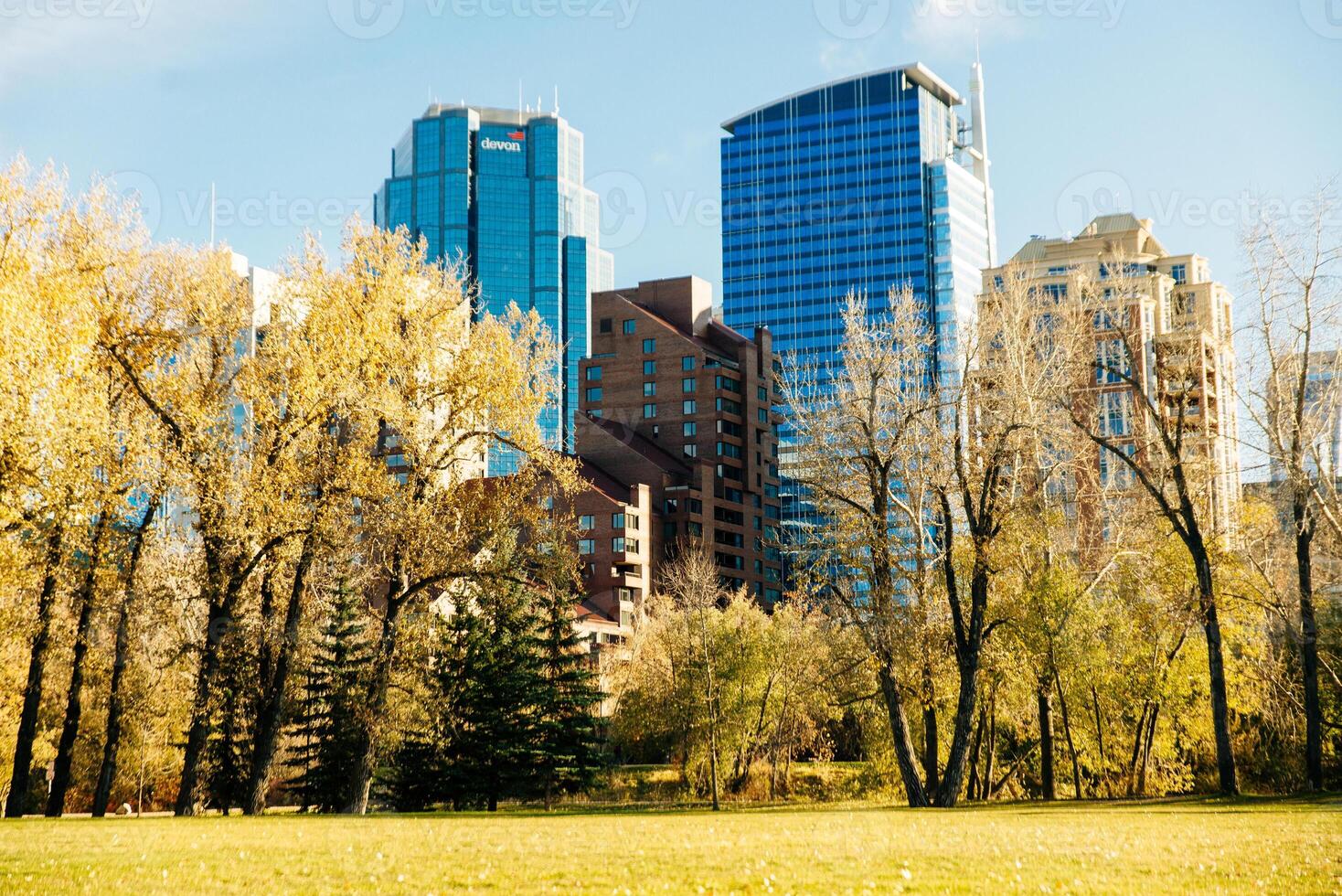 Modern Downtown view taken from near by park. calgary, Canada - october, 2019. photo