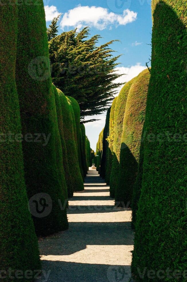 Patagonia, Chile - december, 2019 Scenes at Cemetery of Punta Arenas. photo