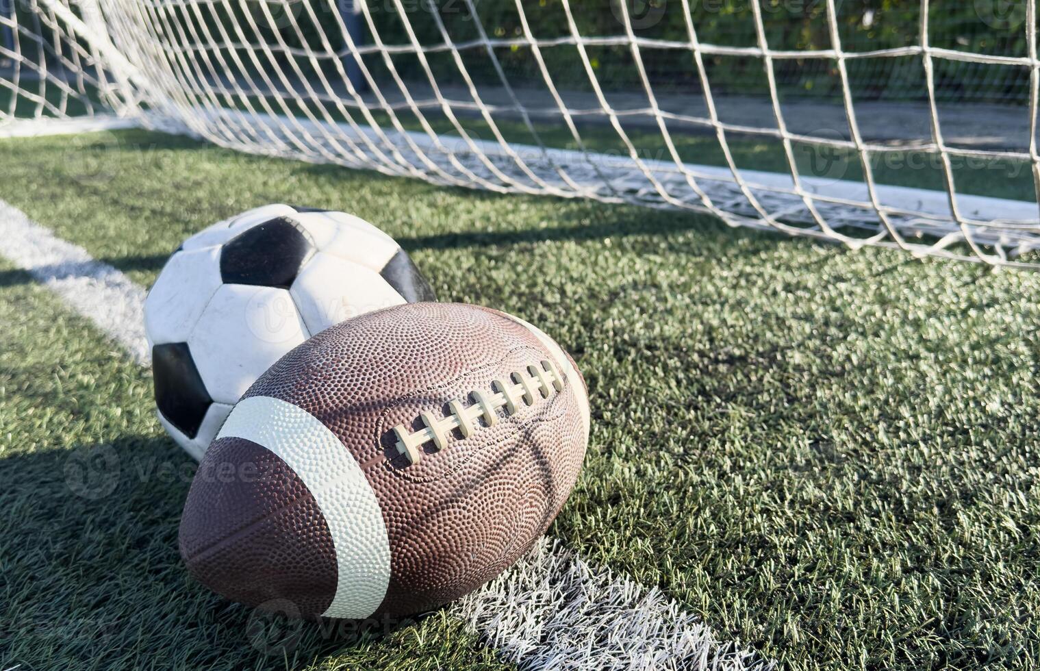 soccer ball and rugby ball photo