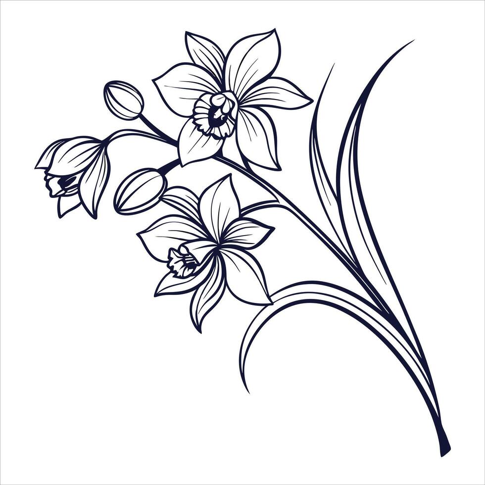 Birth Month Flowers vector