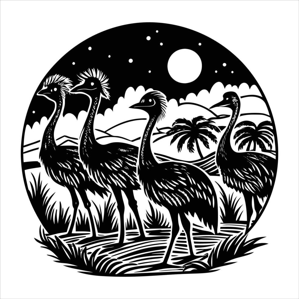 Unveiling the Cassowary vector