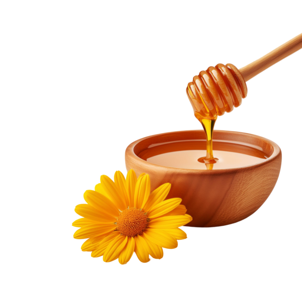Bowl of honey with honey dipper and yellow flower on transparent background png