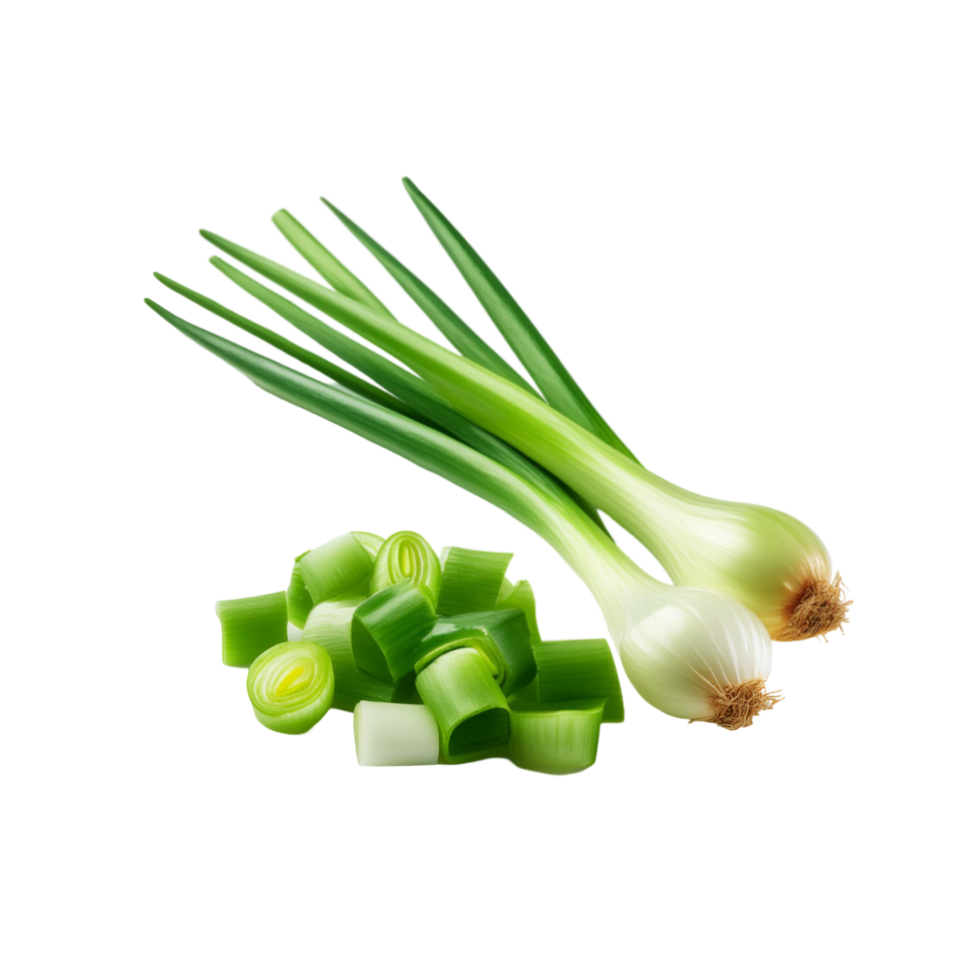 Onion spring vegetable on transparent background png