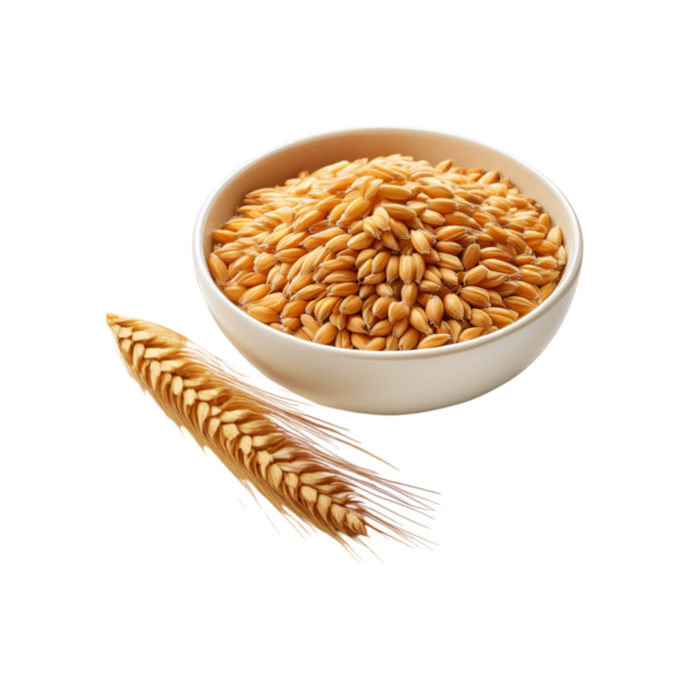 Wheat bowl on transparent background png
