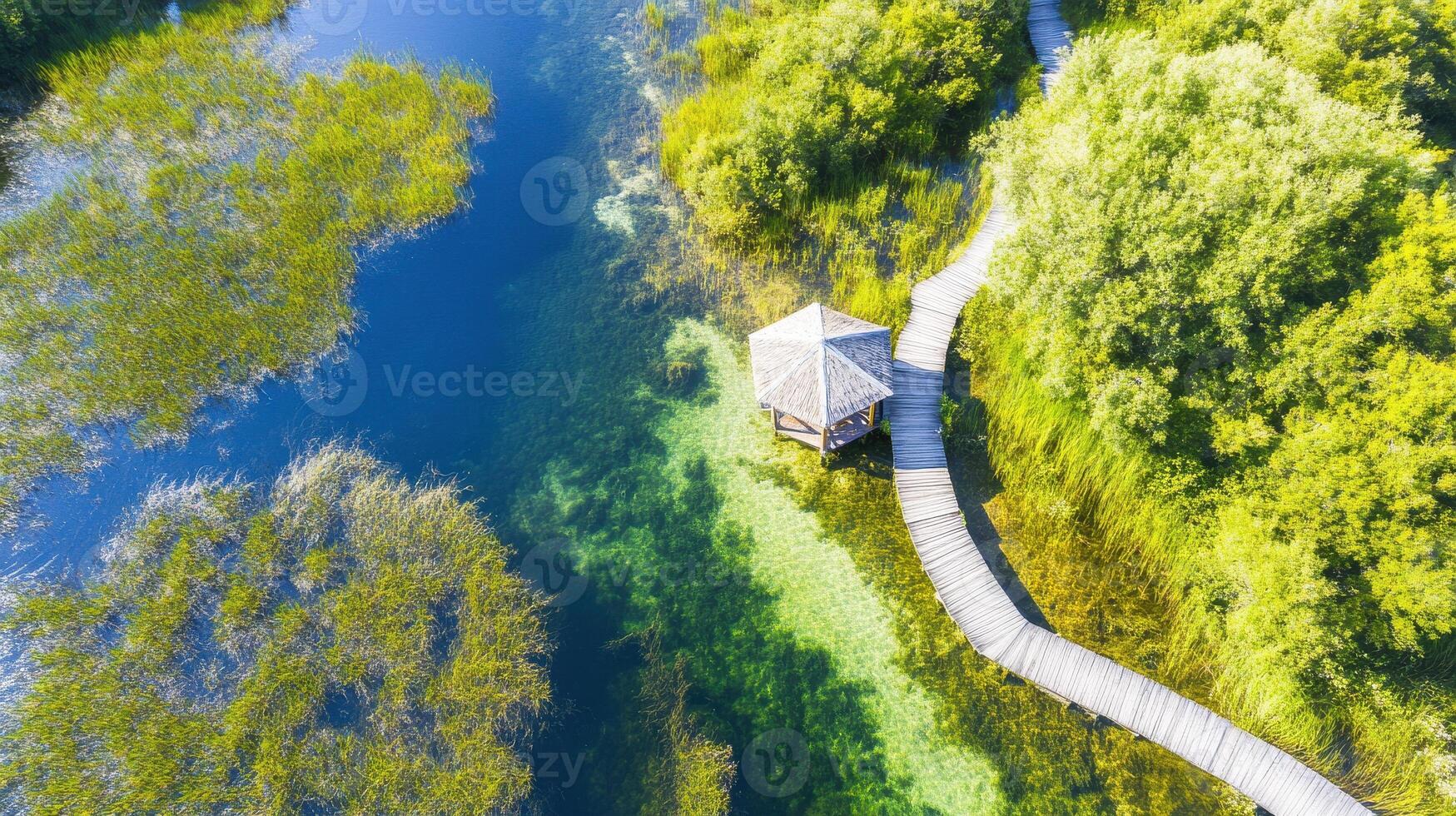 Aerial view of serene lake with wooden pathway and gazebo among lush greenery photo