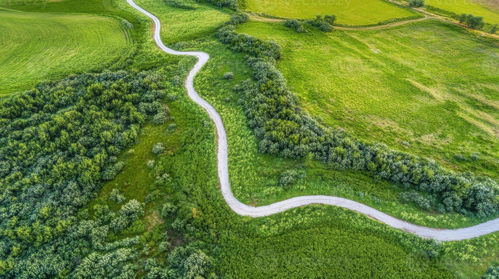 Winding path through lush green landscape amidst vibrant countryside fields photo