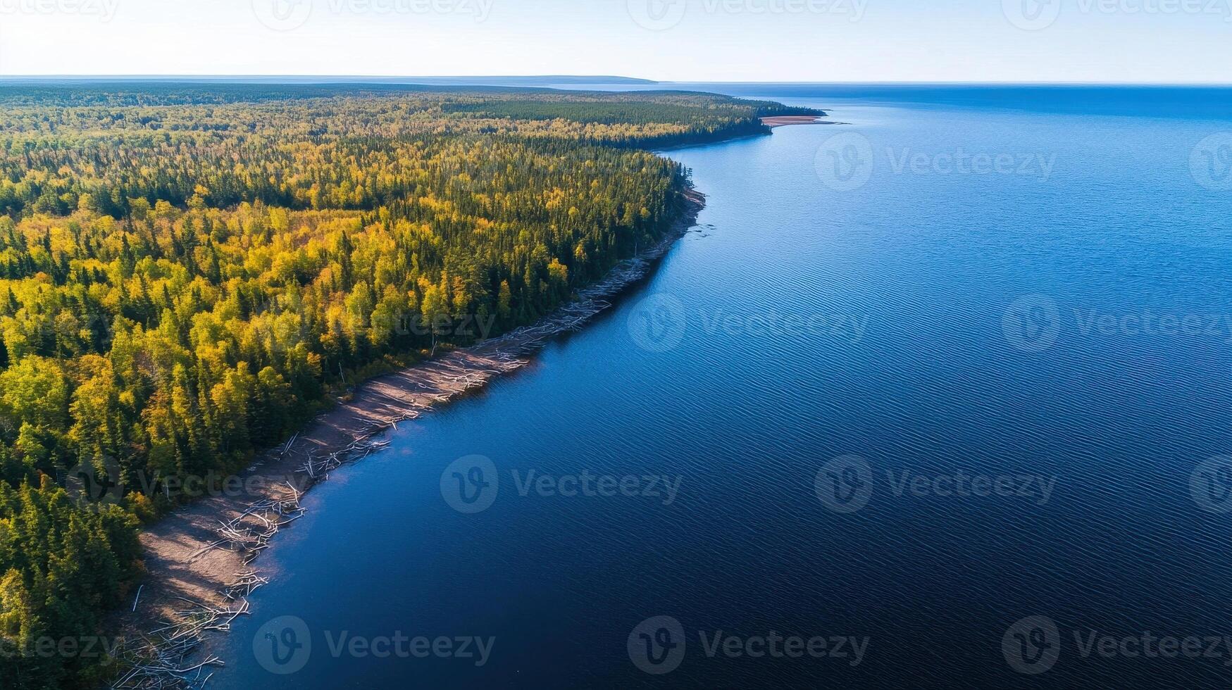 Aerial view of vast forest meeting calm blue sea in nature landscape photo