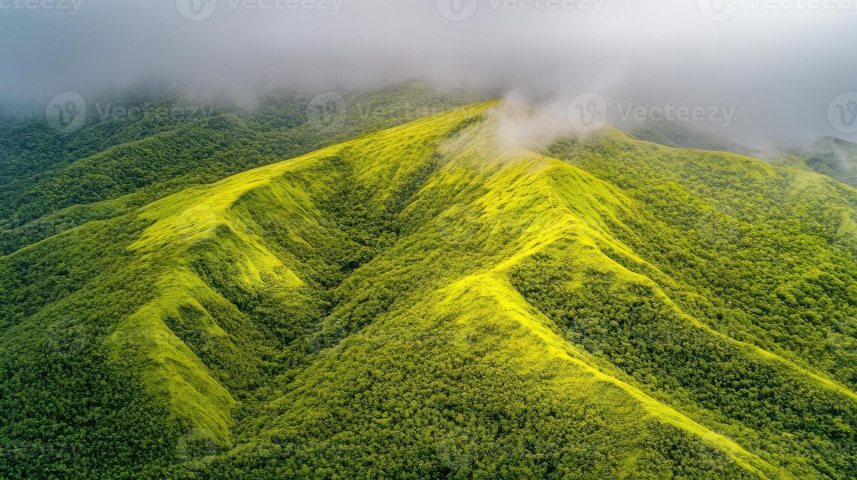 Aerial view of lush green mountain range with cloud cover and dense forest photo