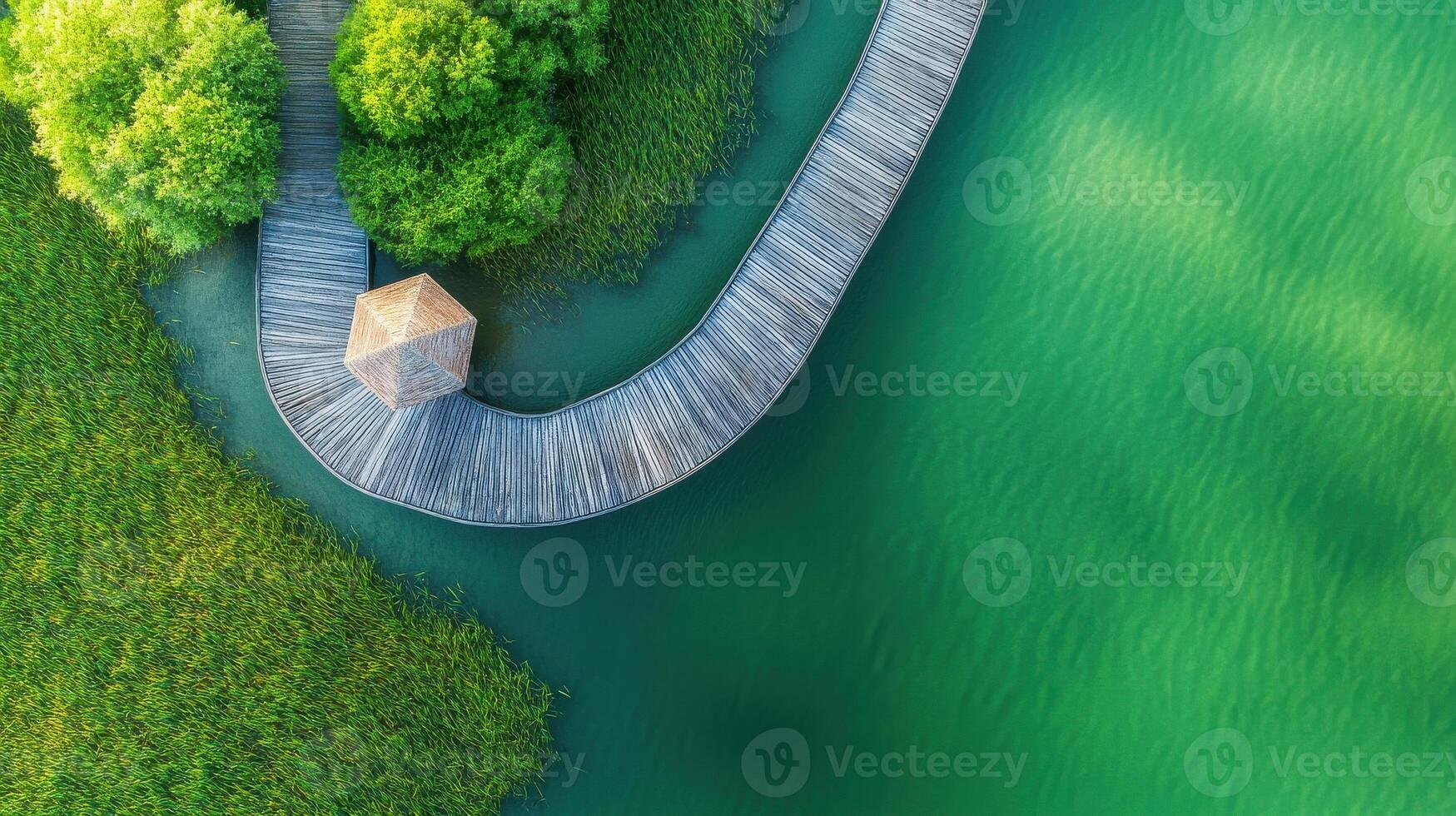 Wooden pathway overlooking tranquil green lake amidst lush vegetation and natural scenery photo