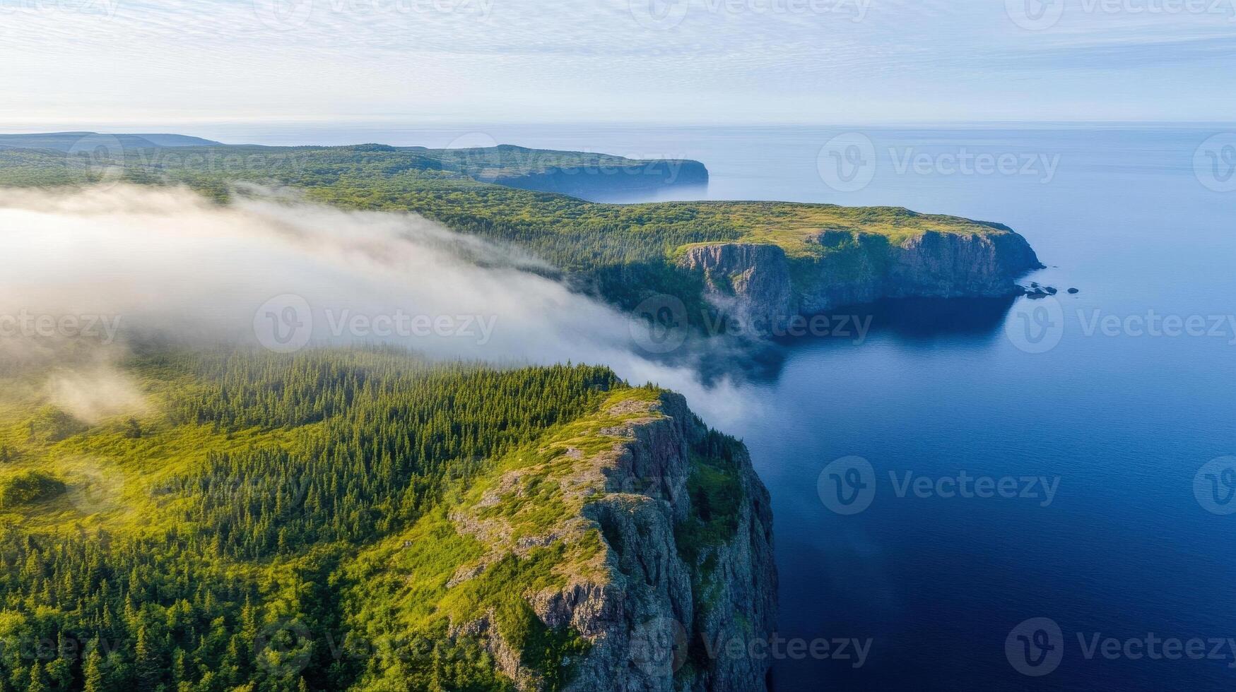 Aerial view of rugged coastal cliffs with dense pine forests and misty horizon photo