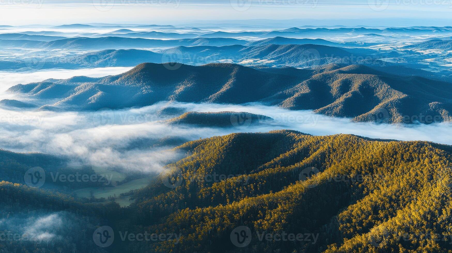 Aerial view of foggy mountain range with sunlit peaks and dense green forests photo