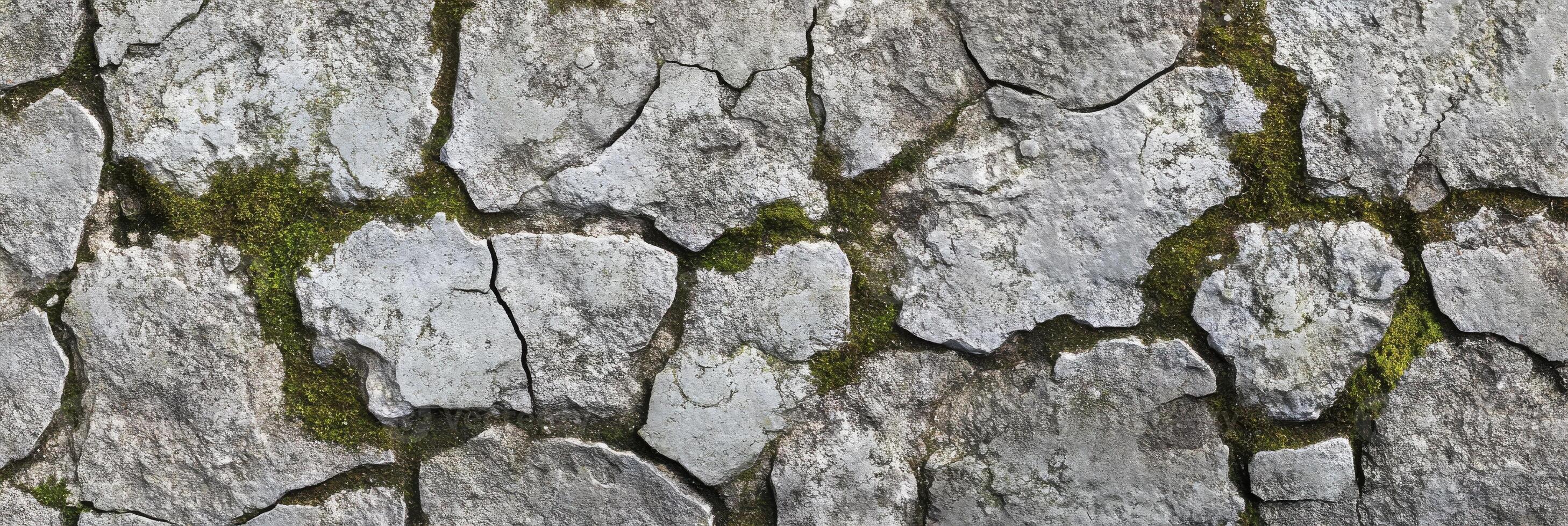 Close-up view of weathered stone wall with moss growing in crevices photo
