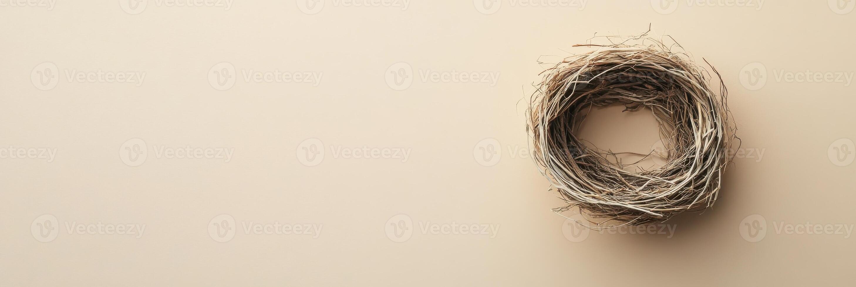 Minimalist natural bird nest on neutral background depicting simplicity and nature photo