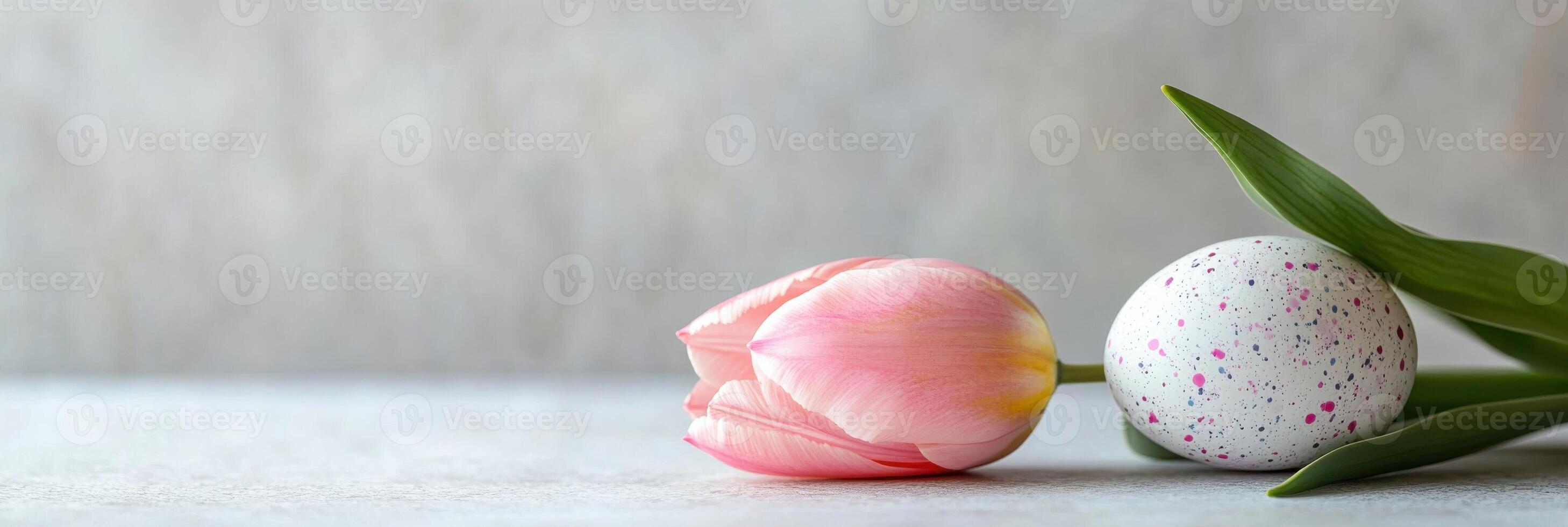 Close-up of pink tulip and speckled egg with green leaves on light background photo