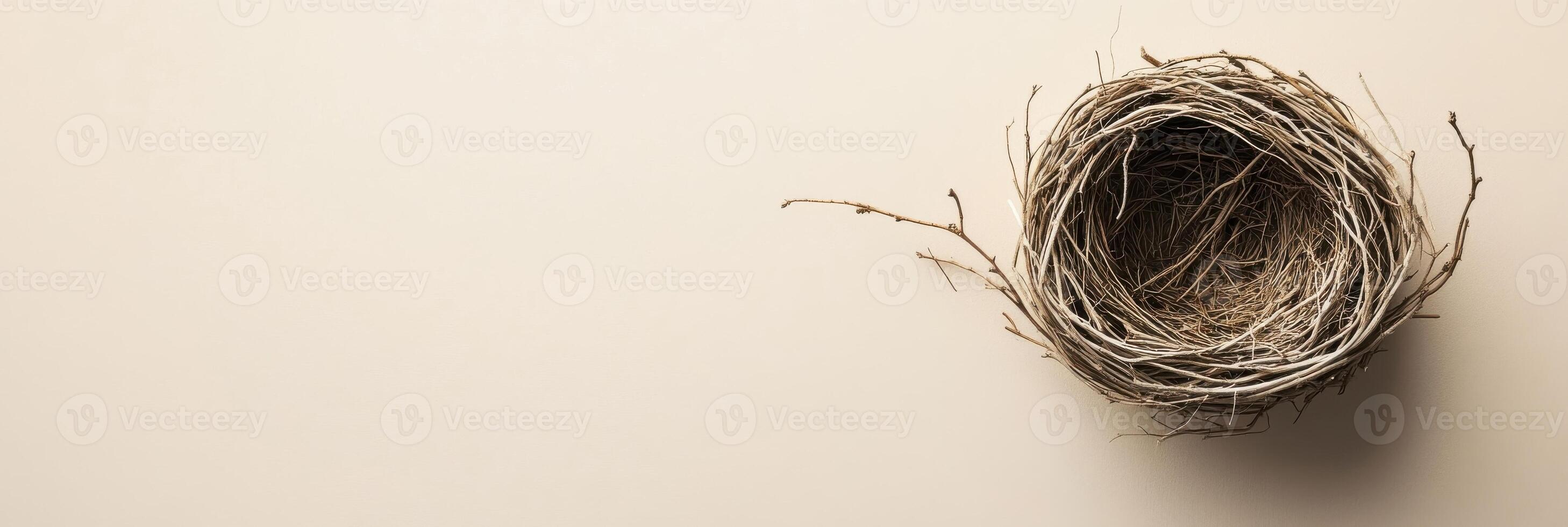 Empty bird nest on beige background representing nature and habitat concepts photo