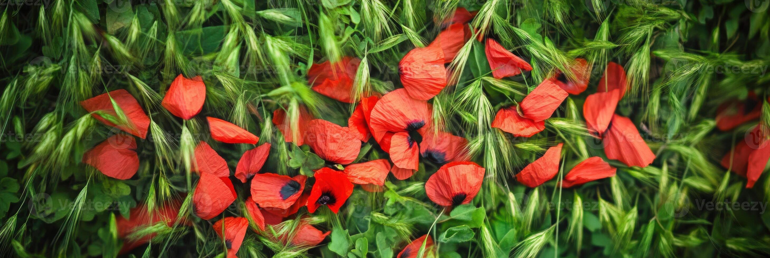 Vibrant red poppies amidst lush green grass in a natural landscape setting photo