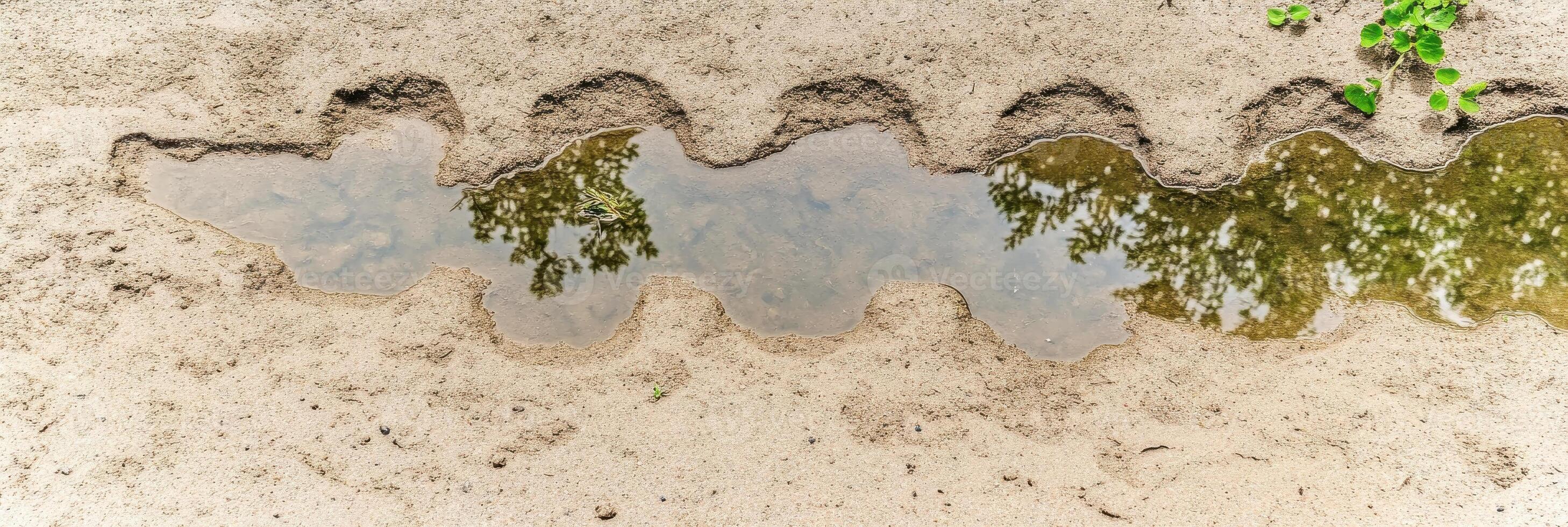 Puddle on sandy surface reflecting tree branches and leaves in natural setting photo