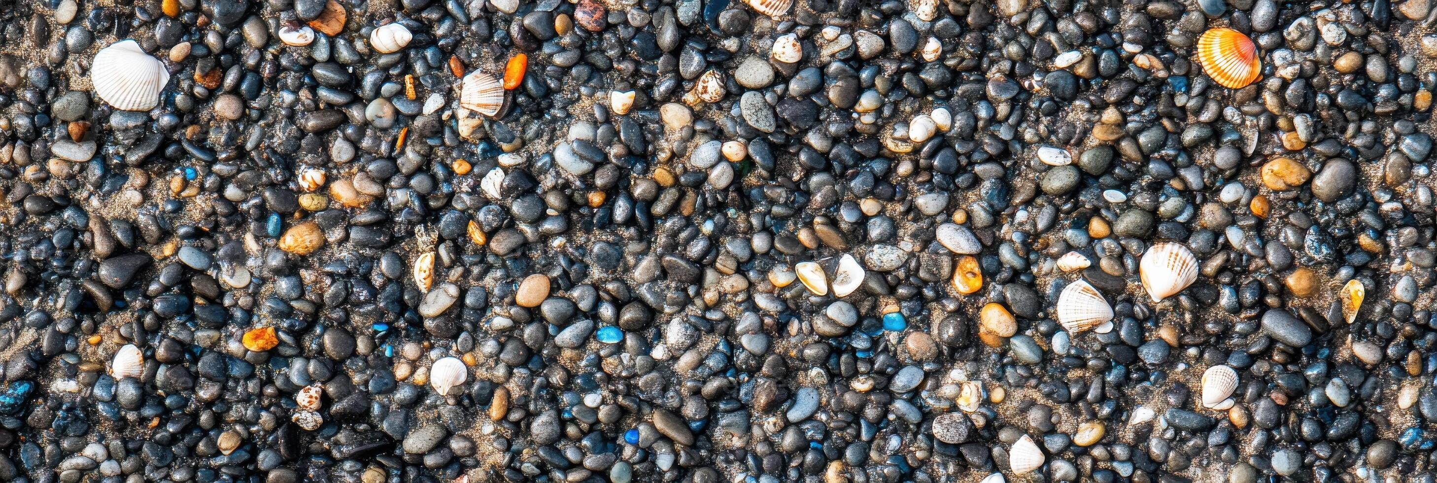 Seashells and pebbles on a sandy beach creating natural texture background photo