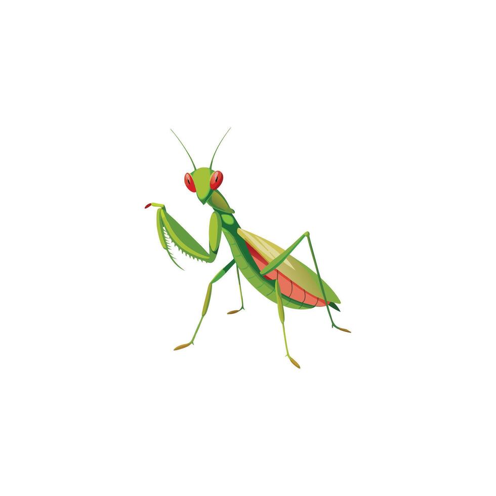Graceful Predator Praying Mantis Illustration on White vector