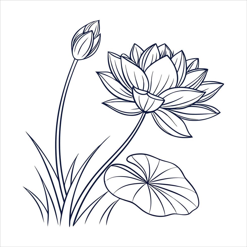 Nymphaea Water Lily Flower vector