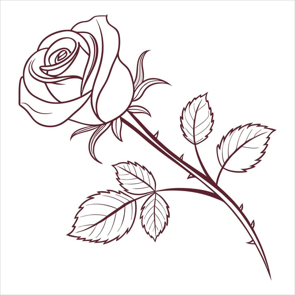 Rose Flower Graphic vector