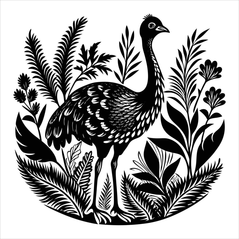 A Southern Cassowary vector