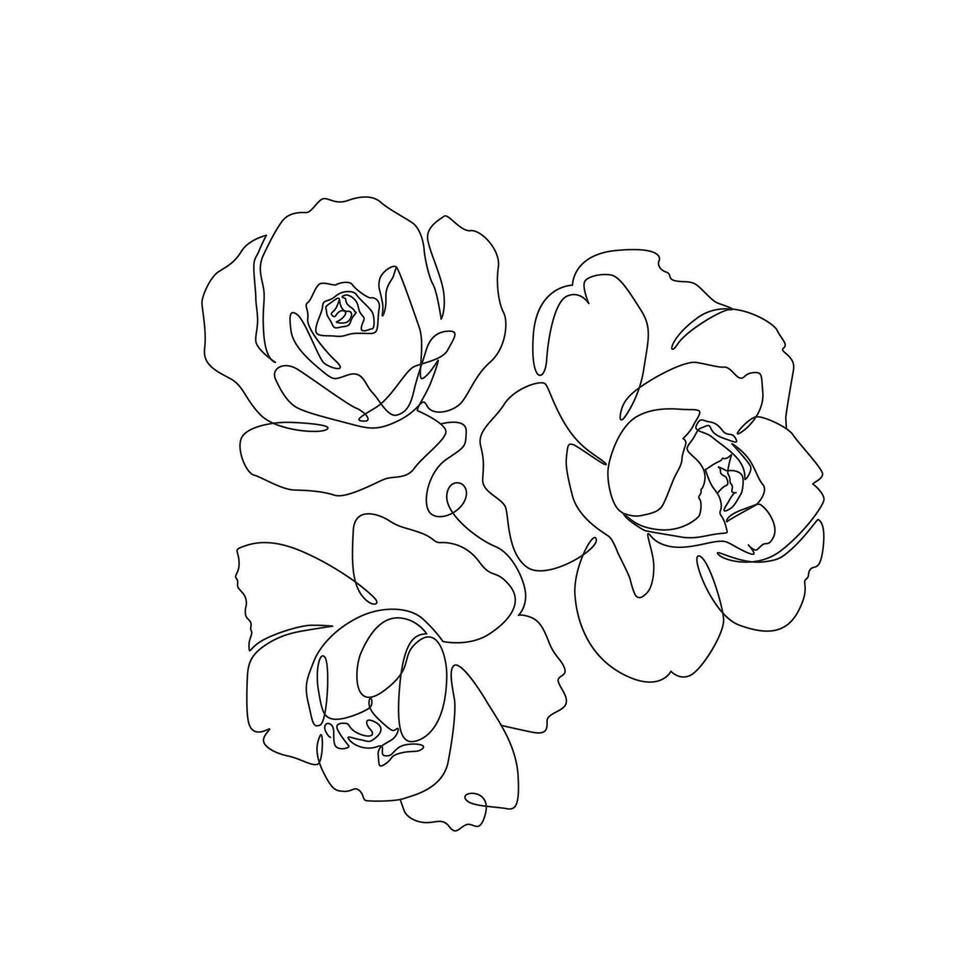 Botanical line art with flowers. Rose and peony simple illustration. Line drawing print design vector