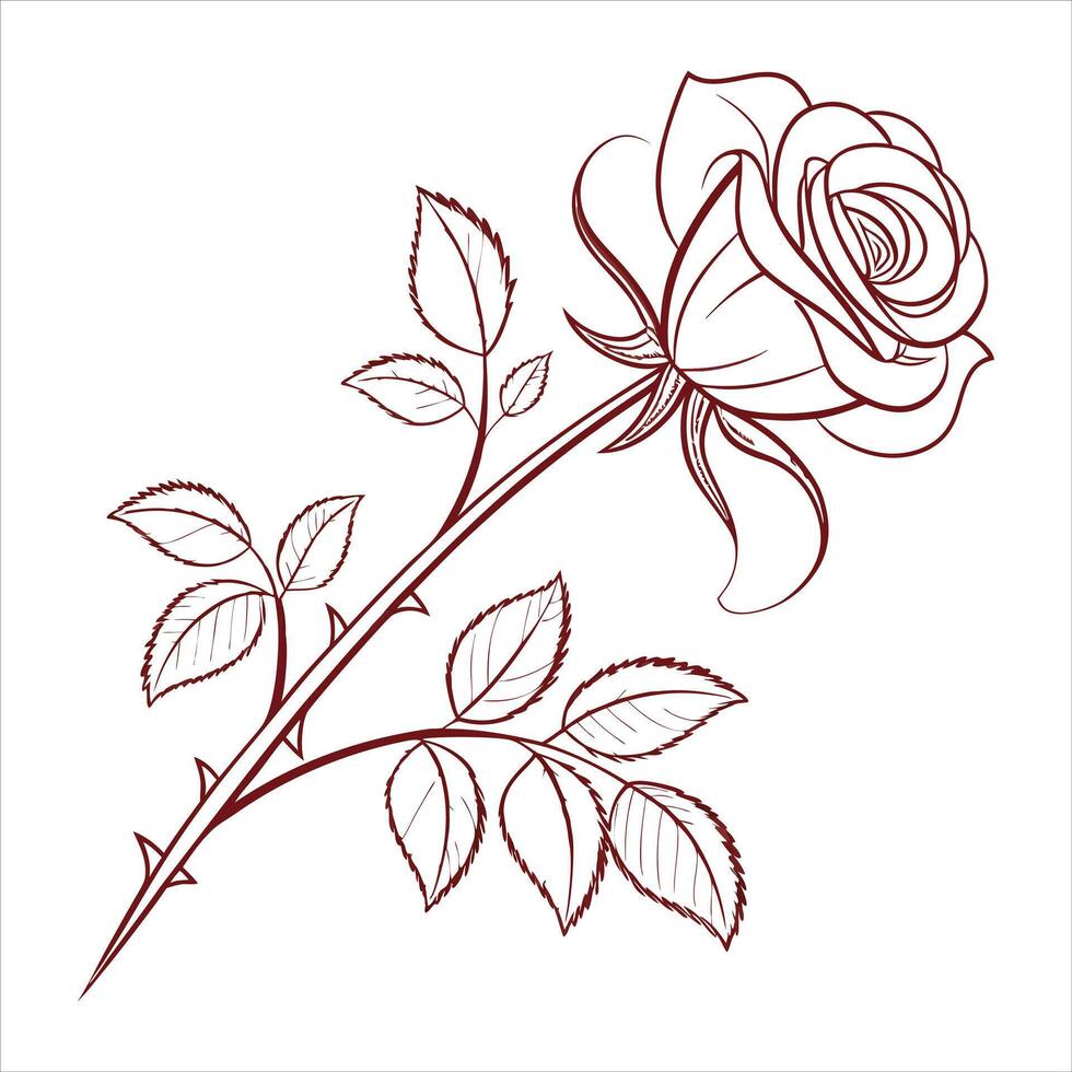 Hand drawn Rose line drawing vector