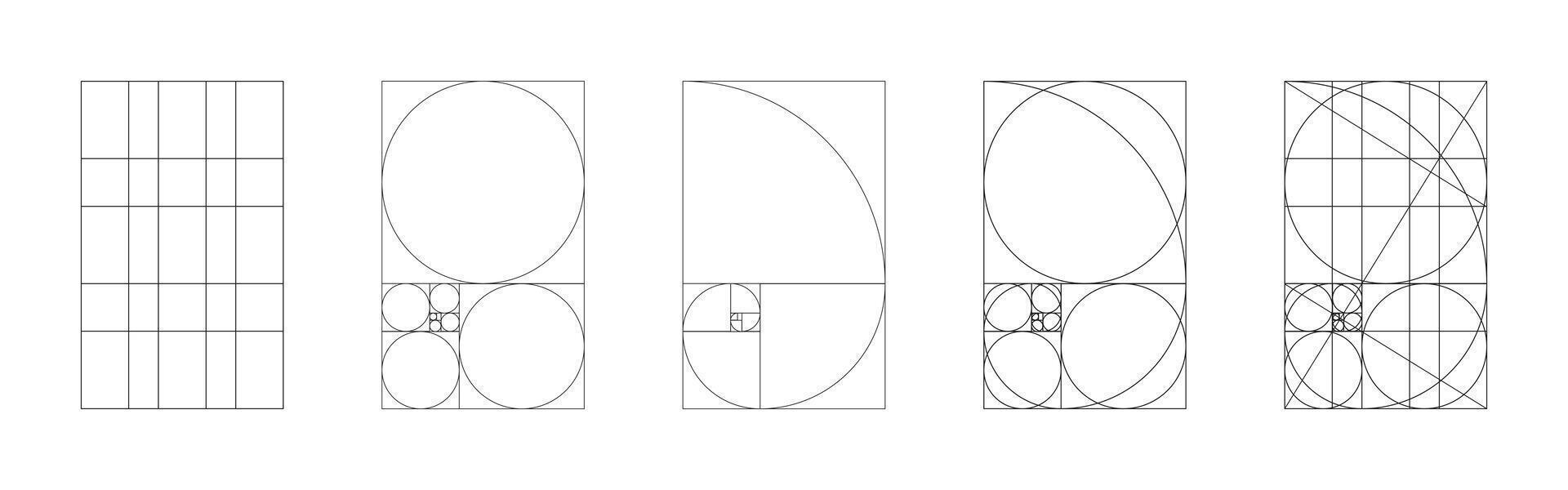 Golden ratio template. Method golden section mockup. Fibonacci array, numbers, shapes. Harmony proportions frames. Outline graphic minimalist illustration. vector