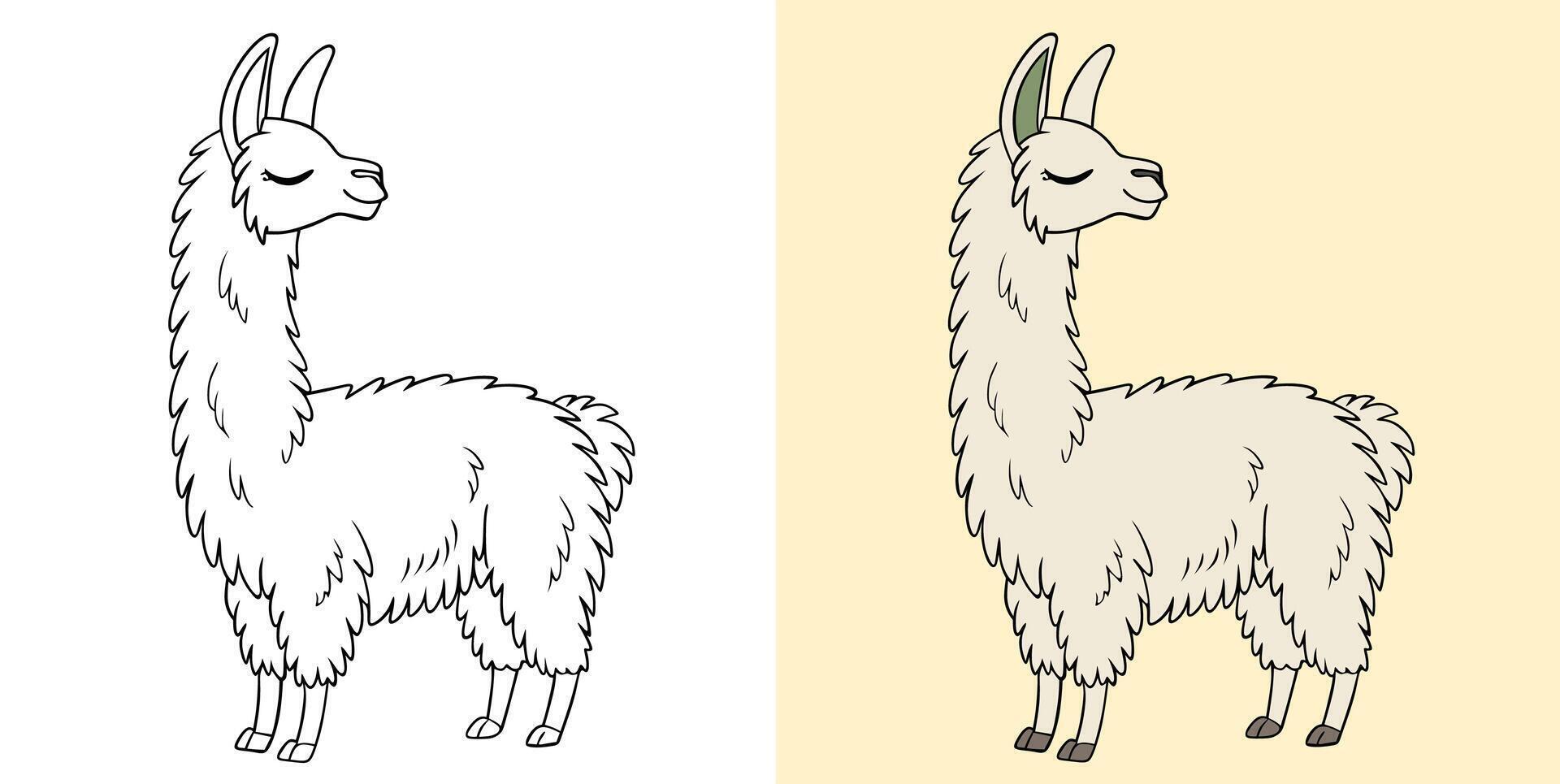 Alpaca Color and Line Art Illustration vector