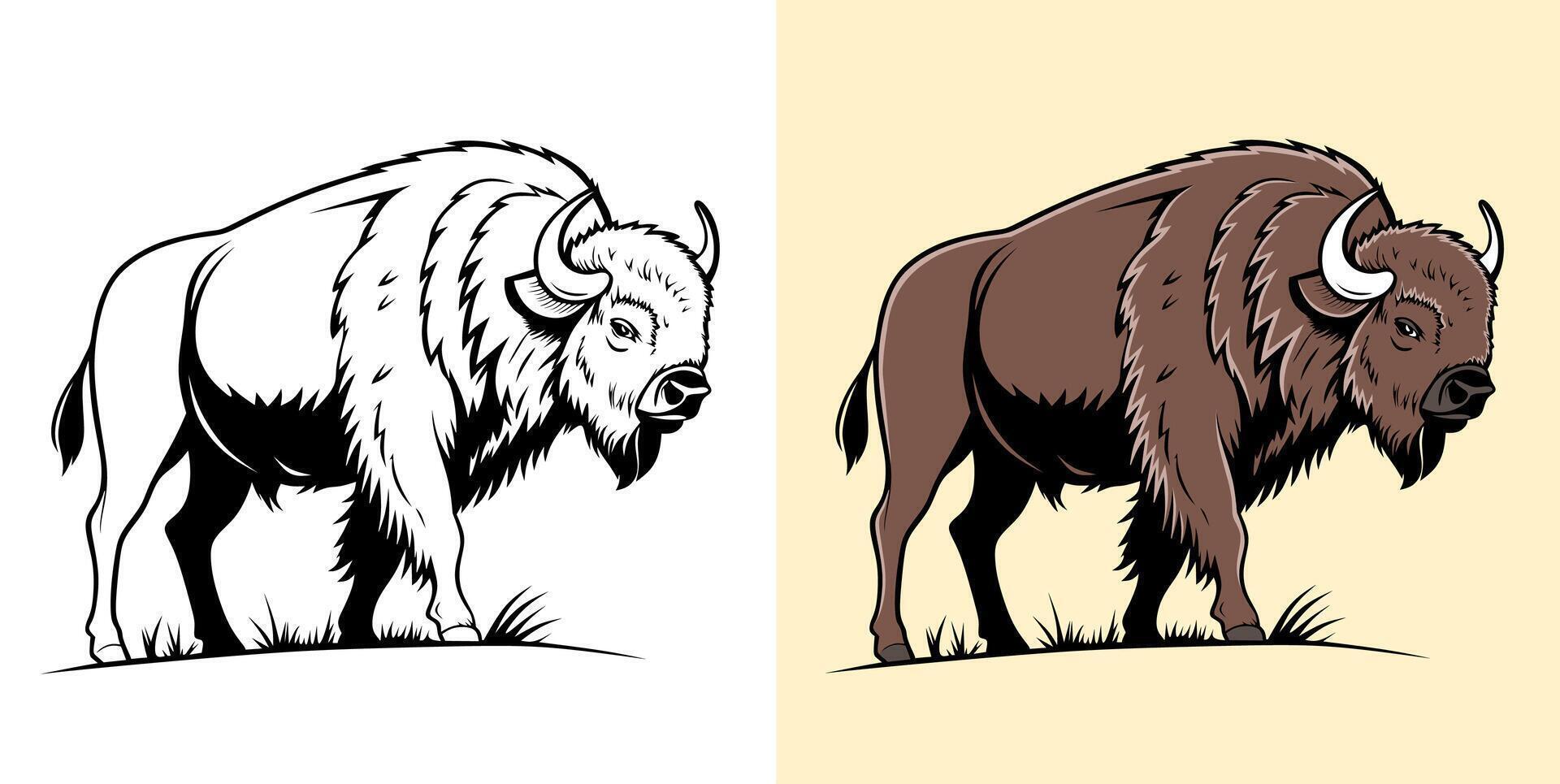 Buffalo Color and Line Art Illustration vector