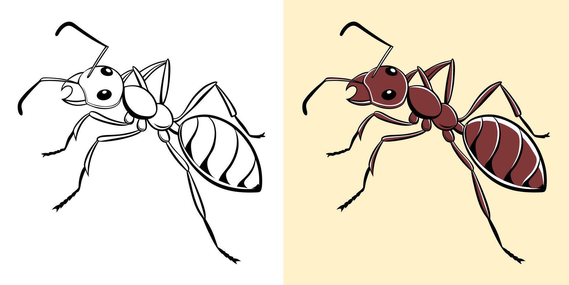 Ant Color and Line Art Illustration vector