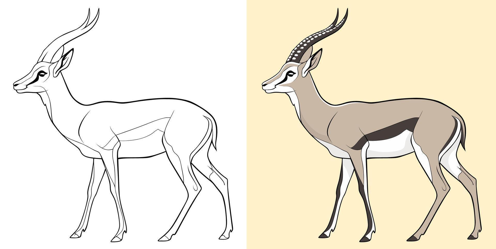 Antelope Color and Line Art Illustration vector