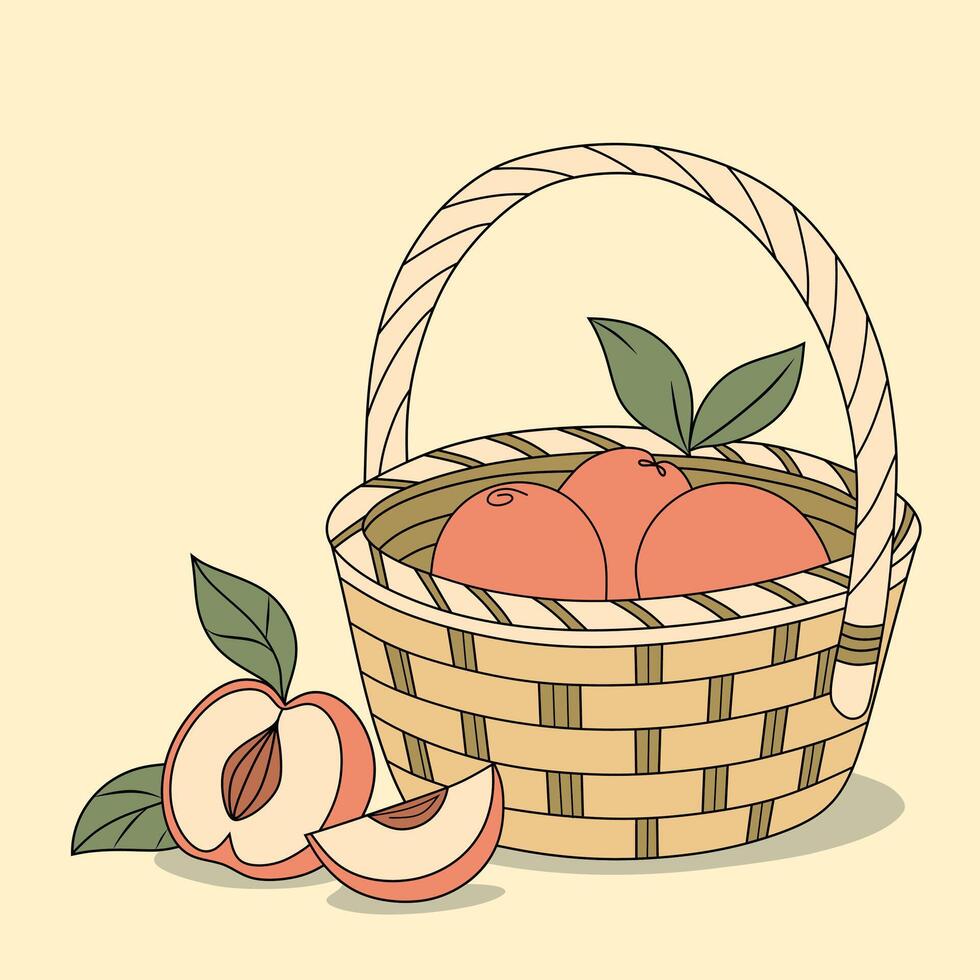Peach in Basket Color Illustration vector