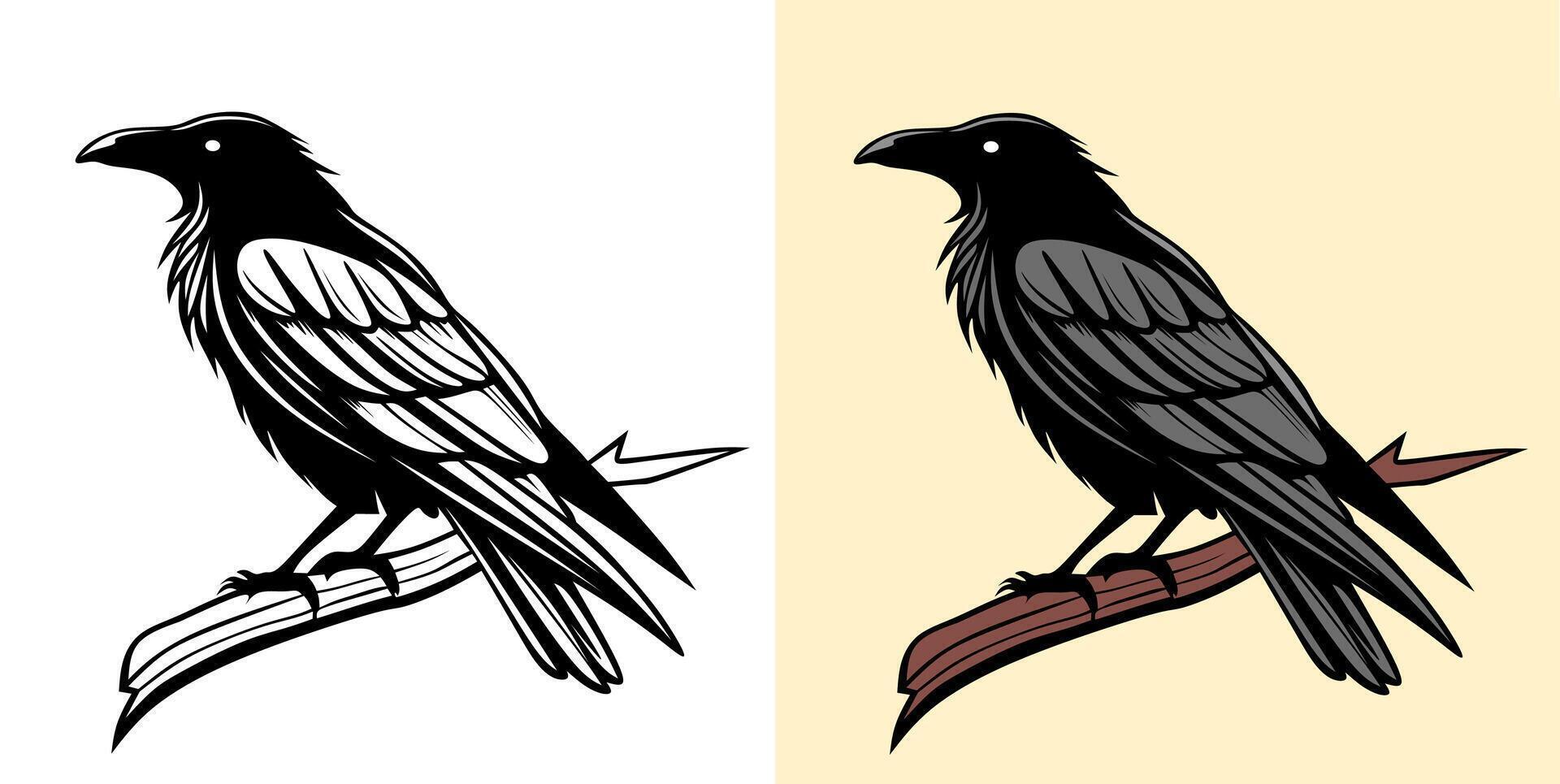 Crow Color and Line Art Illustration vector