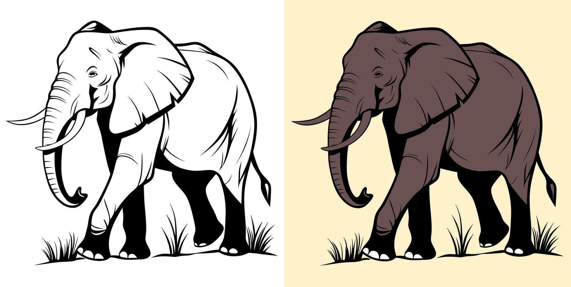 Elephant Color and Line Art Illustration vector