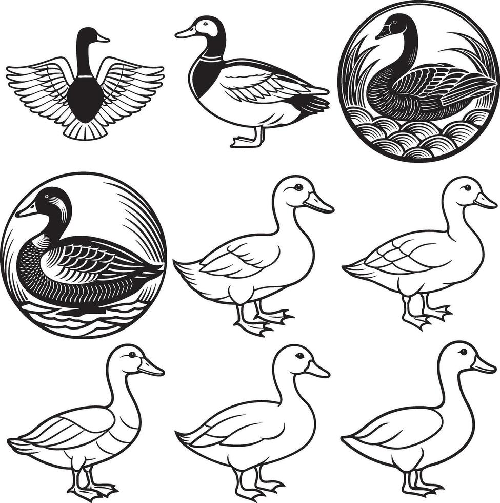 Duck line art silhouette birds set vector