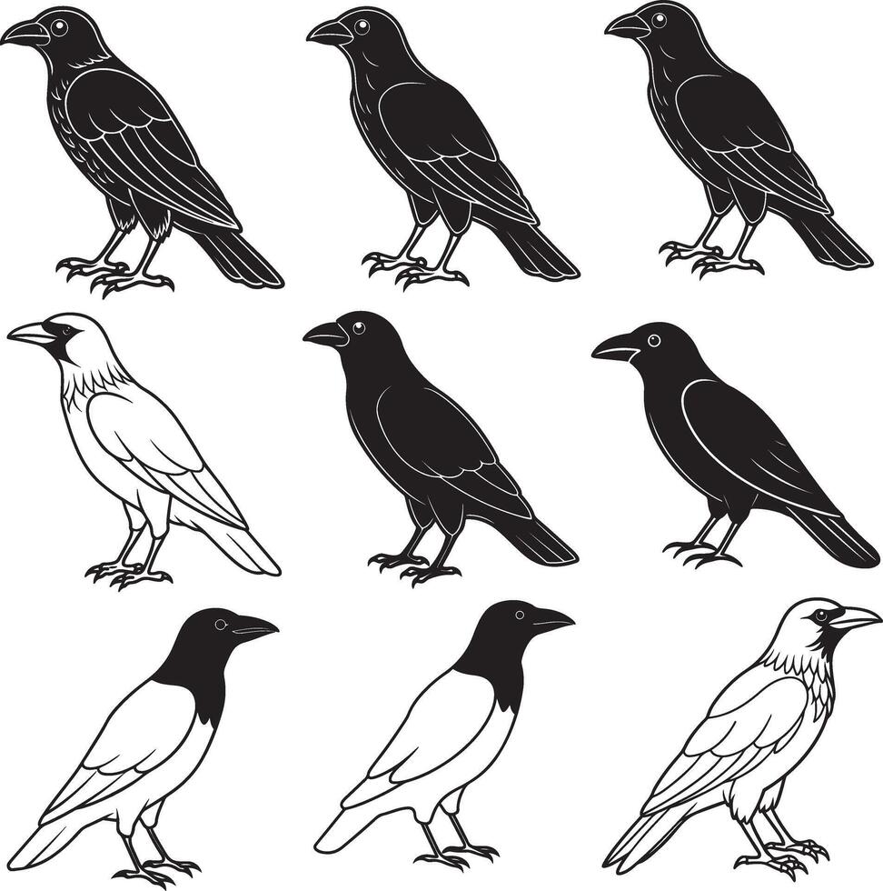 crow silhouette image set design vector