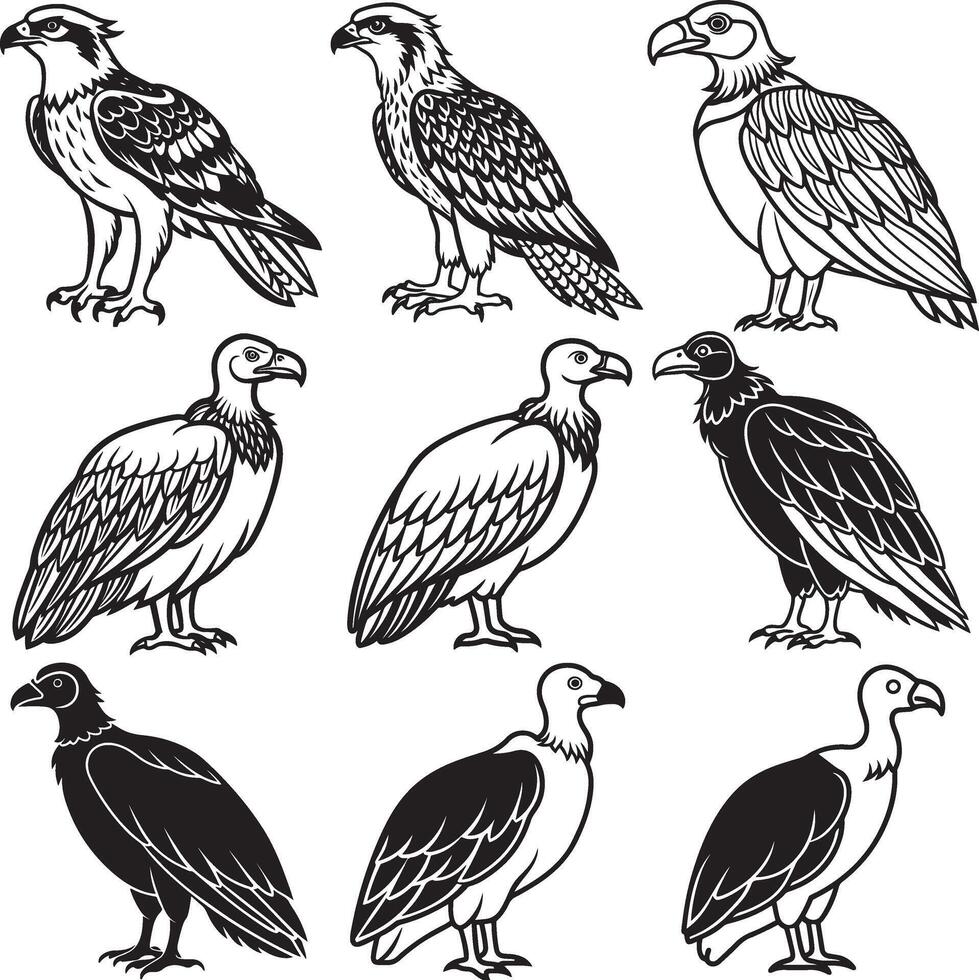 vulture Line art icon birds set vector