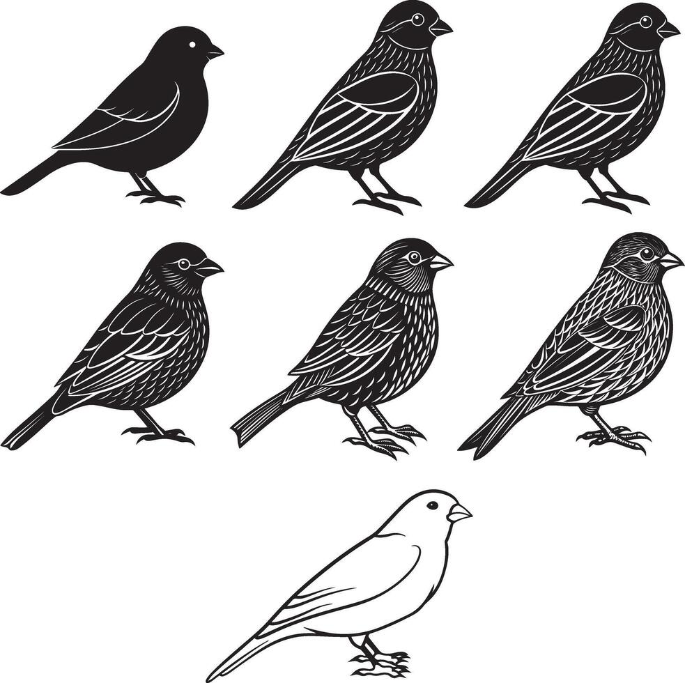 Canary bird set line art design vector