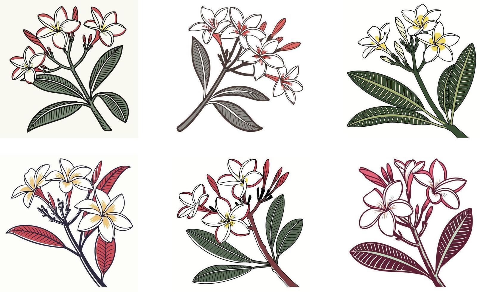 A set of four different flowers with leaves and stems vector