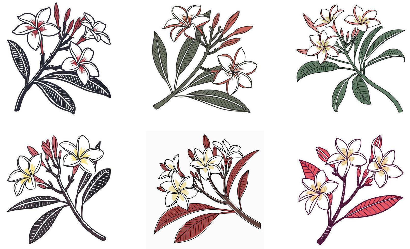 A set of four different flowers with leaves and stems vector