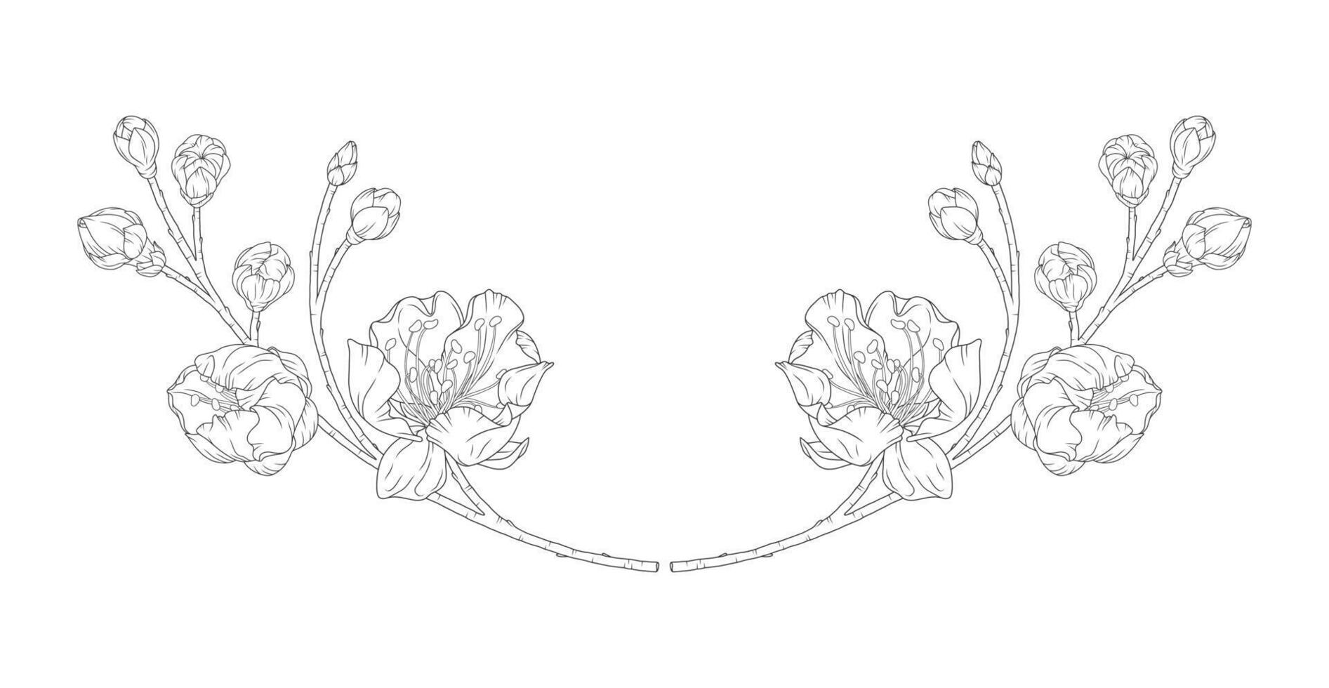 Beautiful vignette of apricot blossoms and buds in a graceful thin line. Japanese sakura flowers frame, outline. Hand drawn sketch of cherry, plum, or peach blossom branch vector