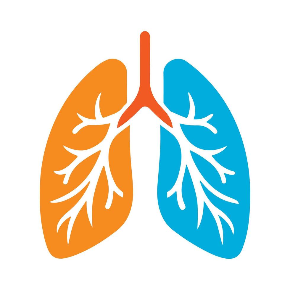 Silhouette of human lungs depicted in blue and orange vector