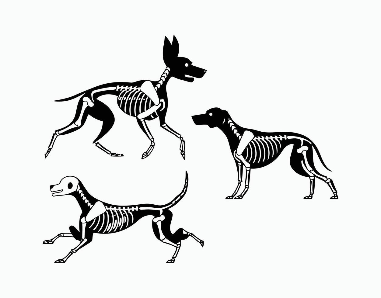 Classic Dog Skeleton Silhouettes File vector
