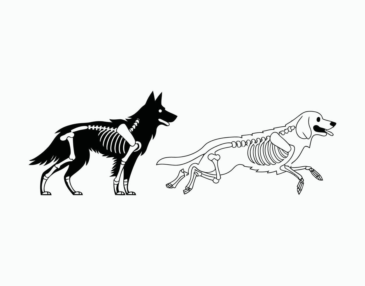 Elegant Dog Skeleton Silhouette Template vector