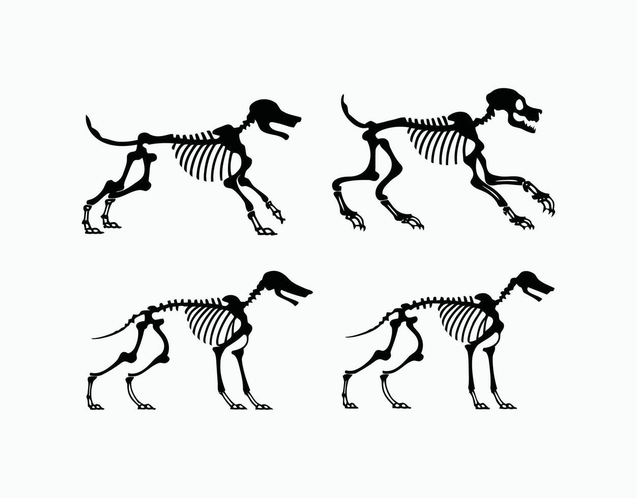 Dog Skeleton Silhouette Outline EPS Template vector