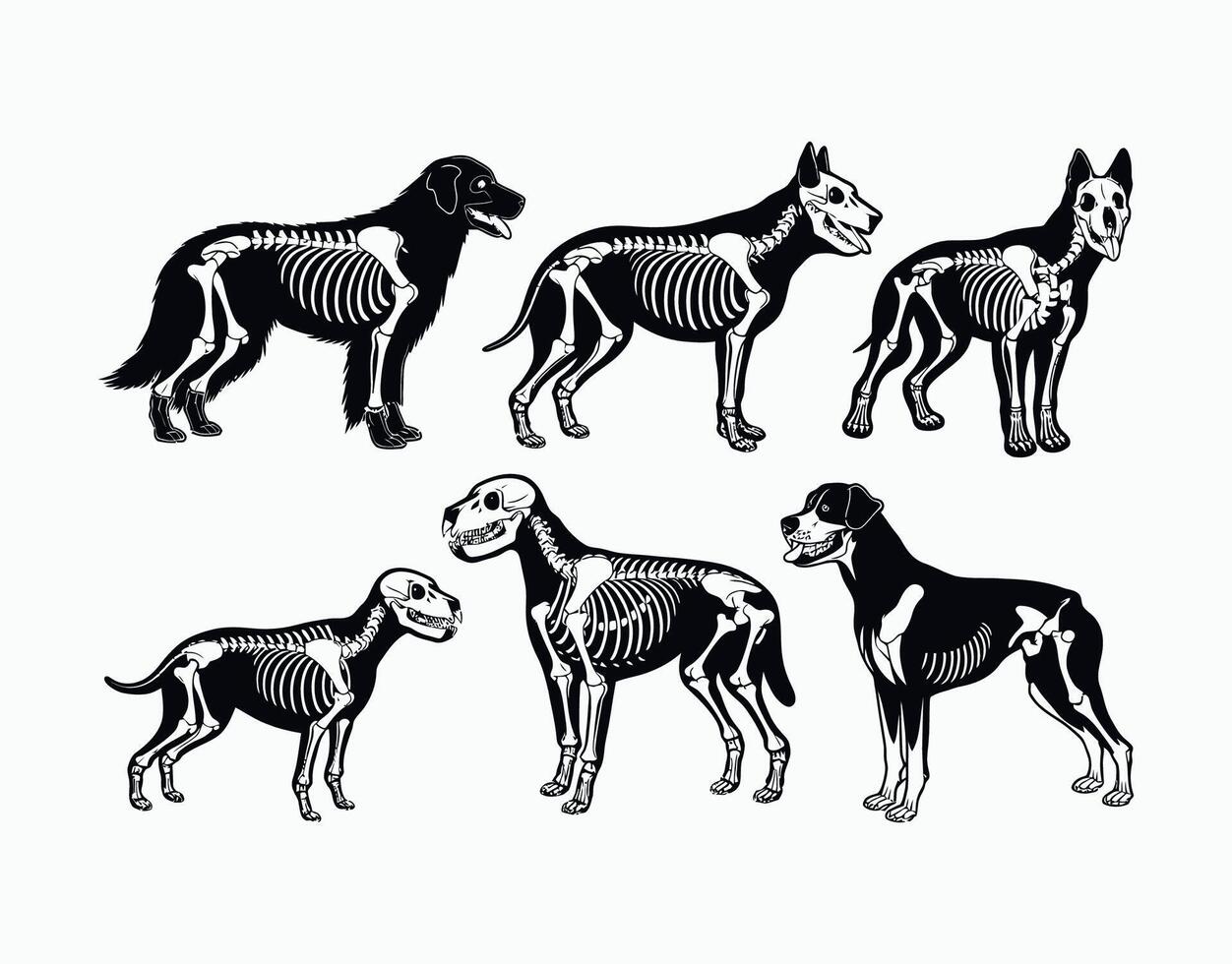 Dog Skeleton Silhouette Collection EPS Template Illustration vector