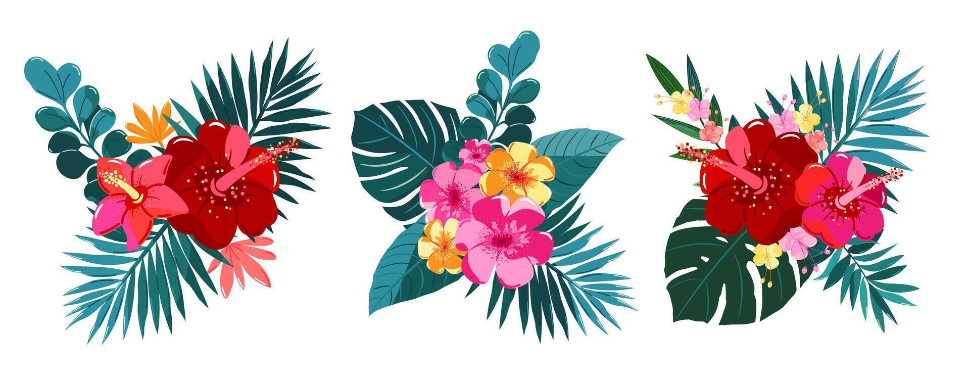 Bouquets with tropical flowers and leaves. Set of three compositions. vector