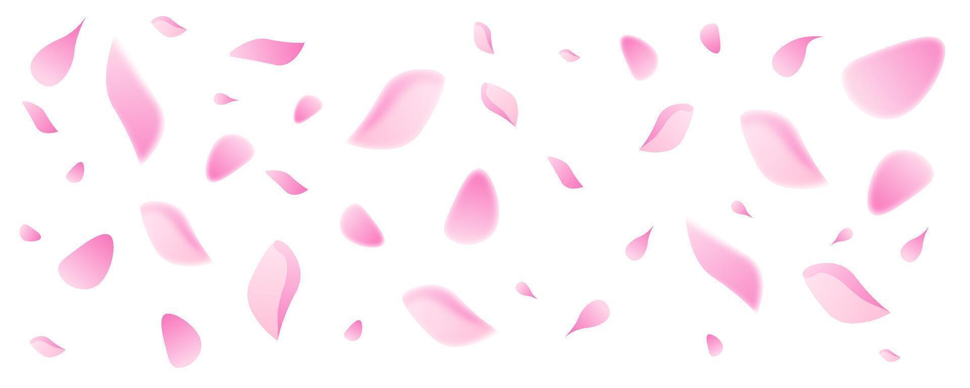 Spring sakura petals flying background. Blossom botanical illustration on white backdrop. Cute pastel design vector